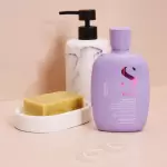 Smoothing Low Shampoo Alfaparf Milano 250 ml